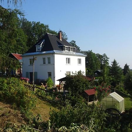 Ferienwohnung Erzgebirgswohnung Goetze Glashutte  Εξωτερικό φωτογραφία