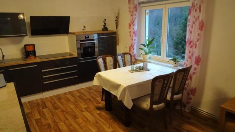 Ferienwohnung Erzgebirgswohnung Goetze Glashutte  Εξωτερικό φωτογραφία
