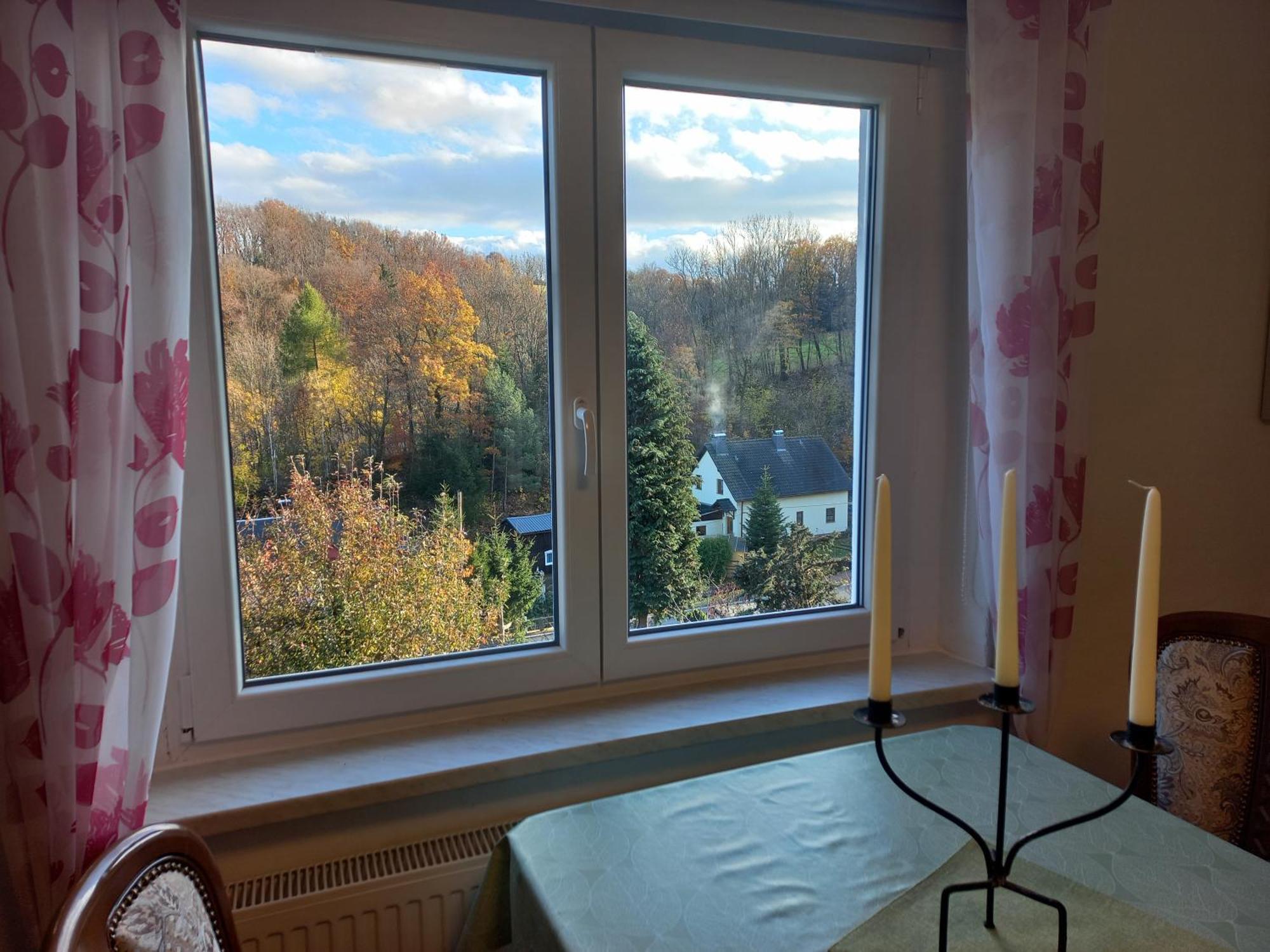 Ferienwohnung Erzgebirgswohnung Goetze Glashutte  Εξωτερικό φωτογραφία